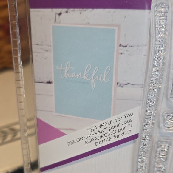 Crafter's Companion Lot Of 5 Fancy Font Die And Stamp Sets NEW - Picture 9 of 11